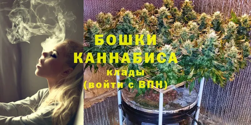 купить закладку  Льгов  Бошки Шишки THC 21% 